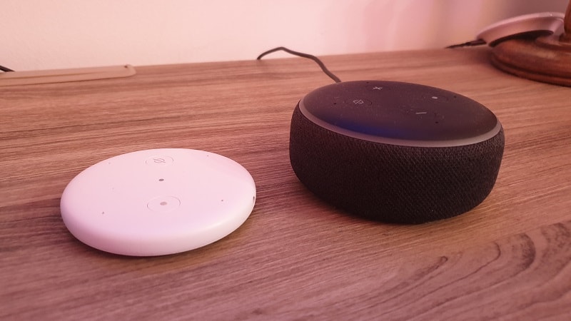 Echo Input VS Echo Dot